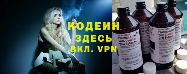 сатива Кинешма