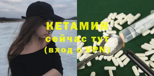 сатива Кинешма