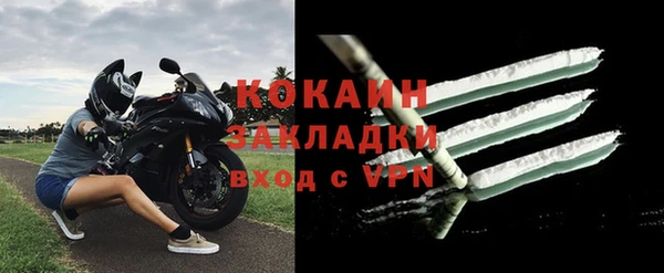 сатива Кинешма