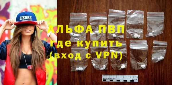 сатива Кинешма