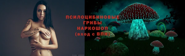 сатива Кинешма