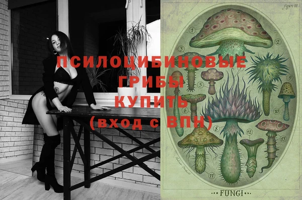 сатива Кинешма