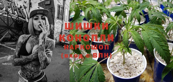 сатива Кинешма